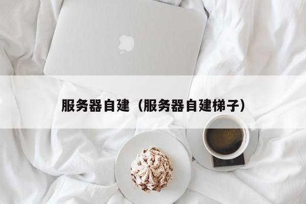 服务器自建（服务器自建梯子）
