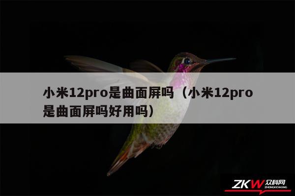 小米12pro是曲面屏吗（小米12pro是曲面屏吗好用吗）