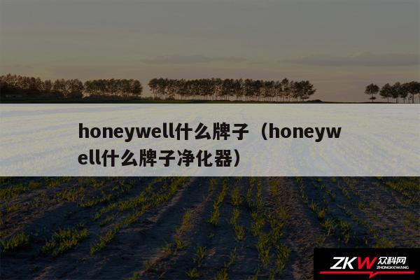 honeywell什么牌子（honeywell什么牌子净化器）