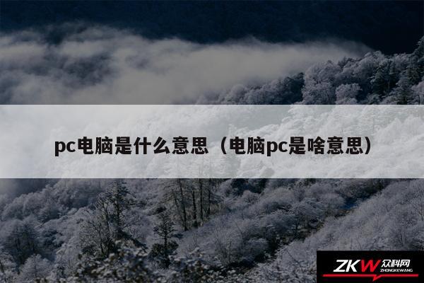 pc电脑是什么意思（电脑pc是啥意思）