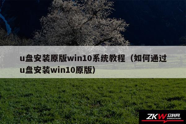 u盘安装原版win10系统教程（如何通过u盘安装win10原版）