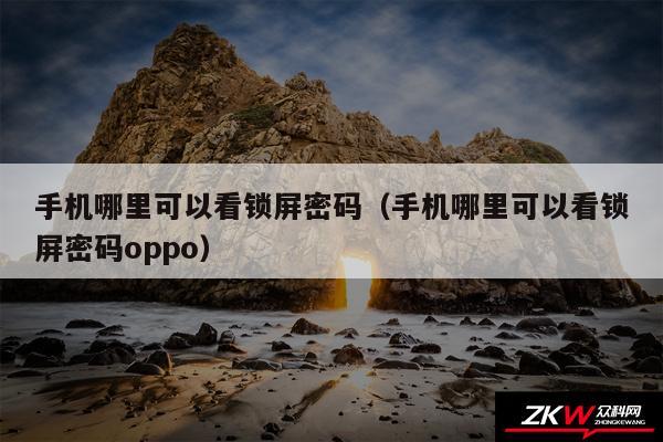 手机哪里可以看锁屏密码（手机哪里可以看锁屏密码oppo）