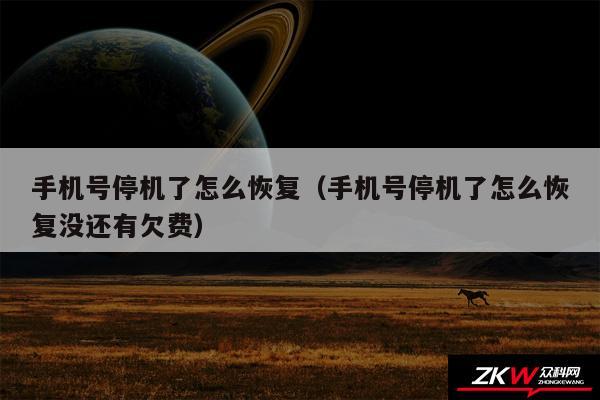 手机号停机了怎么恢复（手机号停机了怎么恢复没还有欠费）