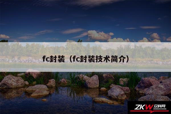fc封装（fc封装技术简介）