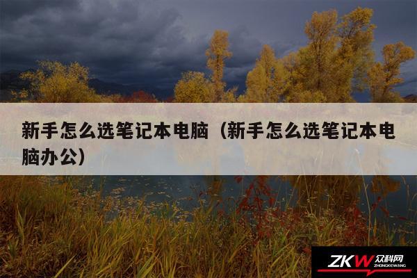 新手怎么选笔记本电脑（新手怎么选笔记本电脑办公）