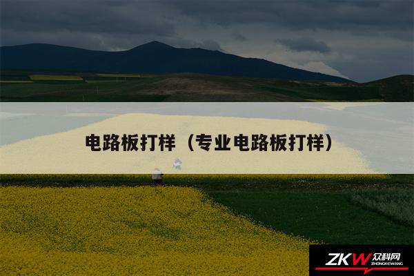 电路板打样（专业电路板打样）