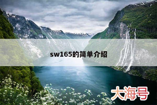 sw165的简单介绍