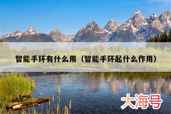 智能手环有什么用（智能手环起什么作用）