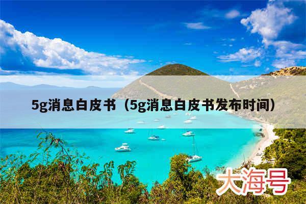 5g消息白皮书（5g消息白皮书发布时间）