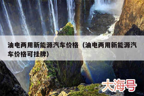 油电两用新能源汽车价格（油电两用新能源汽车价格可挂牌）