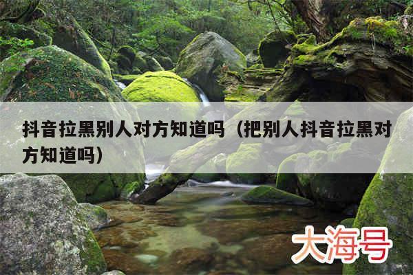抖音拉黑别人对方知道吗（把别人抖音拉黑对方知道吗）