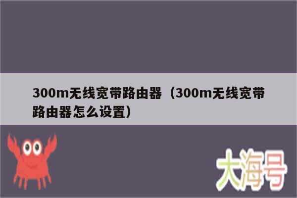 300m无线宽带路由器（300m无线宽带路由器怎么设置）