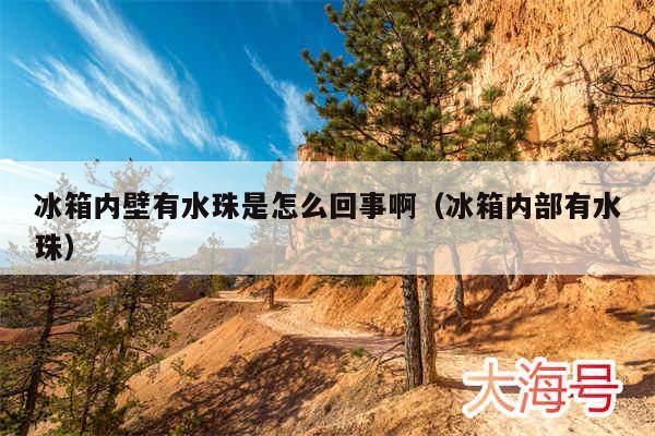 冰箱内壁有水珠是怎么回事啊（冰箱内部有水珠）