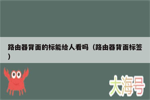 路由器背面的标能给人看吗（路由器背面标签）