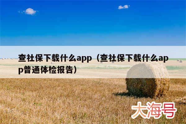 查社保下载什么app（查社保下载什么app普通体检报告）