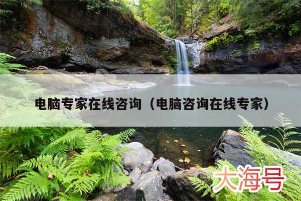 电脑专家在线咨询（电脑咨询在线专家）