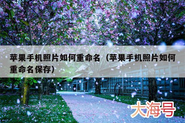 苹果手机照片如何重命名（苹果手机照片如何重命名保存）