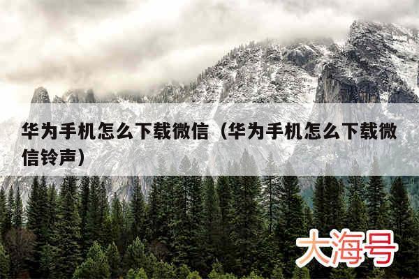 华为手机怎么下载微信（华为手机怎么下载微信铃声）