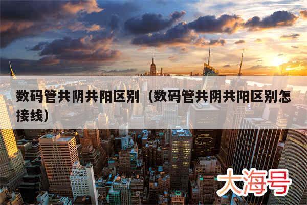 数码管共阴共阳区别（数码管共阴共阳区别怎接线）