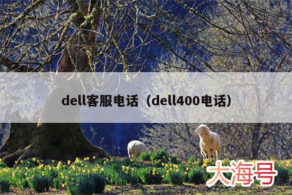 dell客服电话（dell400电话）