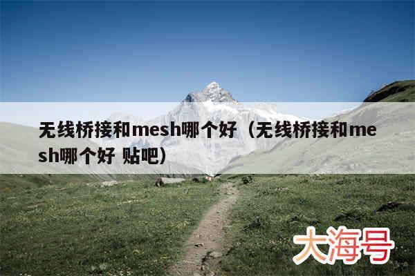 无线桥接和mesh哪个好（无线桥接和mesh哪个好 贴吧）