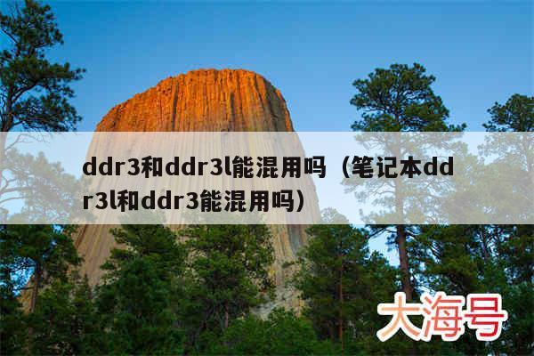 ddr3和ddr3l能混用吗（笔记本ddr3l和ddr3能混用吗）