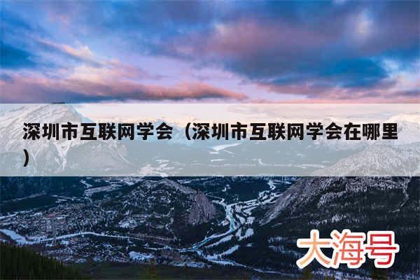 深圳市互联网学会（深圳市互联网学会在哪里）