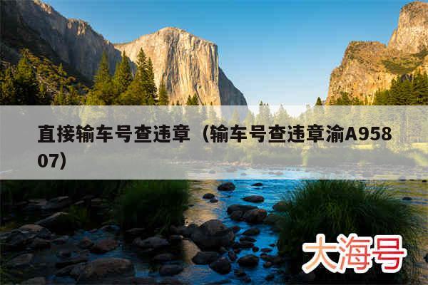 直接输车号查违章（输车号查违章渝A95807）