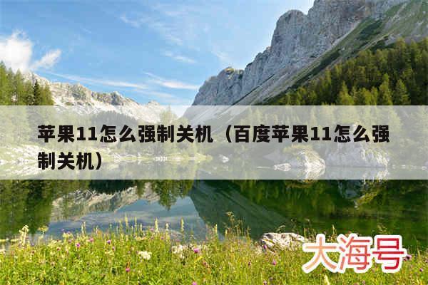 苹果11怎么强制关机（百度苹果11怎么强制关机）