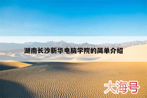 湖南长沙新华电脑学院的简单介绍