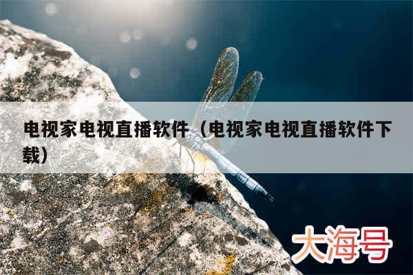 电视家电视直播软件（电视家电视直播软件下载）