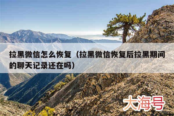 拉黑微信怎么恢复（拉黑微信恢复后拉黑期间的聊天记录还在吗）