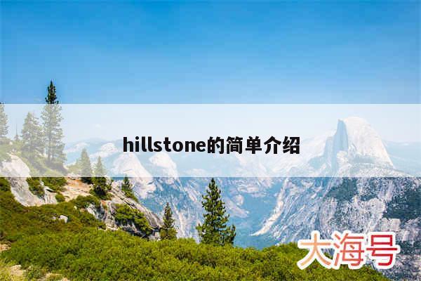 hillstone的简单介绍