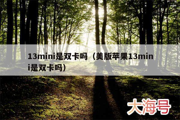 13mini是双卡吗（美版苹果13mini是双卡吗）