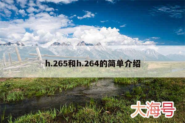 h.265和h.264的简单介绍