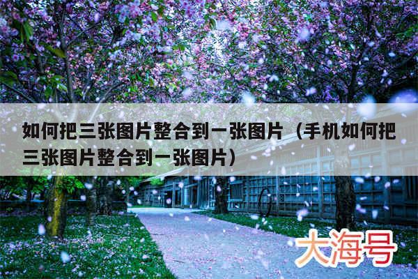如何把三张图片整合到一张图片（手机如何把三张图片整合到一张图片）