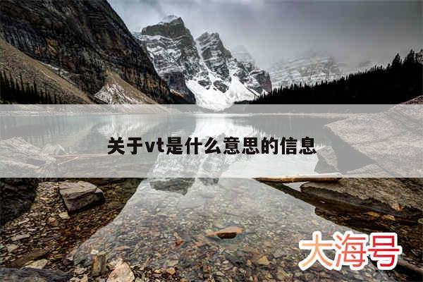 关于vt是什么意思的信息