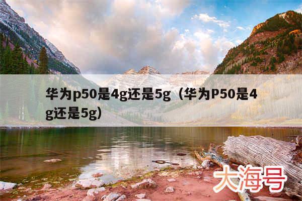 华为p50是4g还是5g（华为P50是4g还是5g）