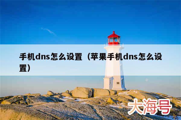 手机dns怎么设置（苹果手机dns怎么设置）