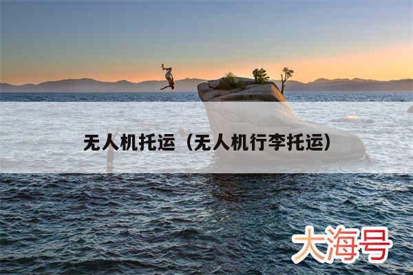 无人机托运（无人机行李托运）