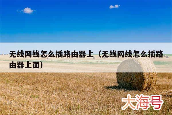 无线网线怎么插路由器上（无线网线怎么插路由器上面）