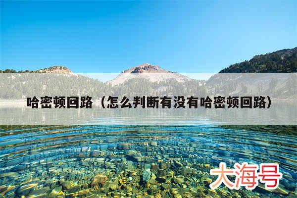 哈密顿回路（怎么判断有没有哈密顿回路）
