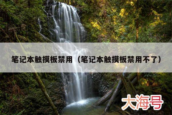 笔记本触摸板禁用（笔记本触摸板禁用不了）