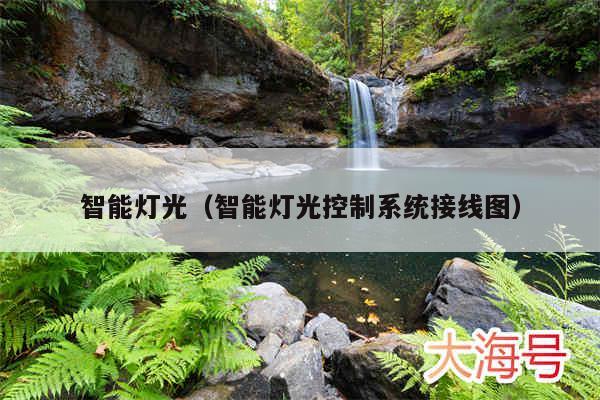 智能灯光（智能灯光控制系统接线图）