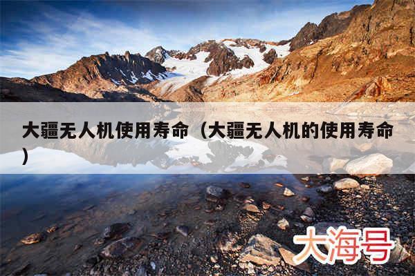 大疆无人机使用寿命（大疆无人机的使用寿命）