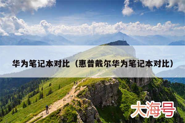 华为笔记本对比（惠普戴尔华为笔记本对比）