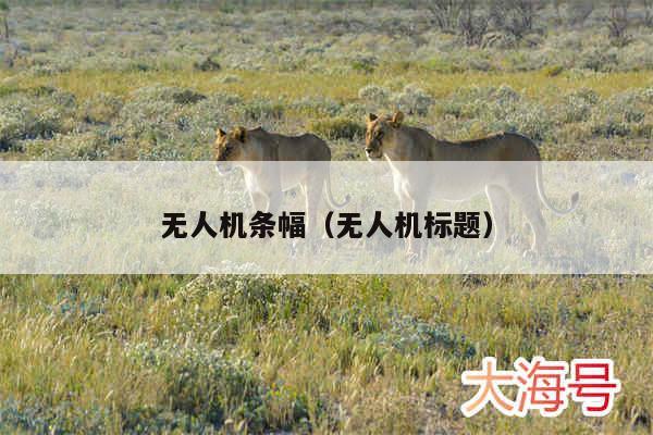 无人机条幅（无人机标题）