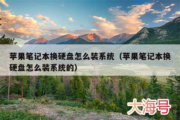 苹果笔记本换硬盘怎么装系统（苹果笔记本换硬盘怎么装系统的）