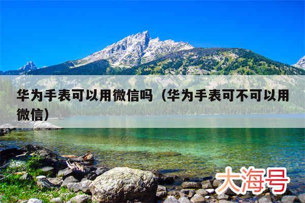 华为手表可以用微信吗（华为手表可不可以用微信）