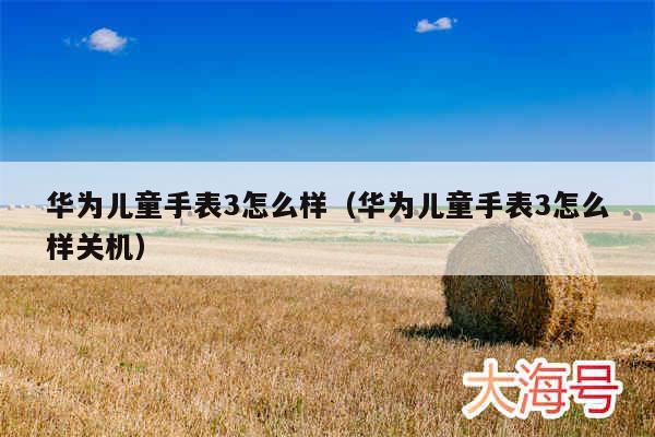 华为儿童手表3怎么样（华为儿童手表3怎么样关机）